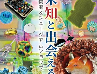 博物ふぇすてぃばる! 11  【有明 東京ビッグサイト南1ホール】
