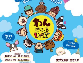 わんだふるDAY12/17