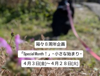 箱々８周年企画 「Special Month！」 − 小さな始まり −