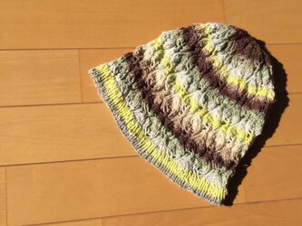 木の葉模様のニット帽の画像