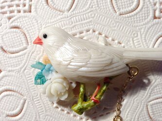 白文鳥の卵ポロリブローチの画像