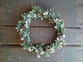 ドライグリーンと実物のクリスマスリースの画像