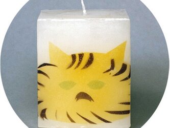 四角い猫Ⅰの画像