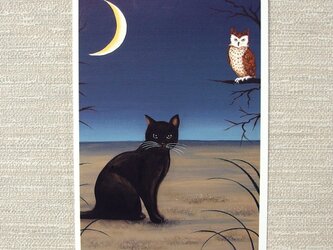 リスとフクロウと黒猫のポストカード。の画像