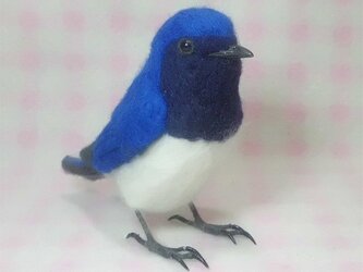 オオルリ  ほぼライフサイズ♪ 羊毛フェルト　受注作成　羊毛フィギュア　羊毛インコ　工房小鳥屋さん　大瑠璃　野鳥　リアルの画像