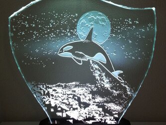 星降る夜・シャチ　ガラスエッチングパネル Mサイズ・LEDスタンドセット（オルカ・鯱・ランプ・ライト・照明）の画像