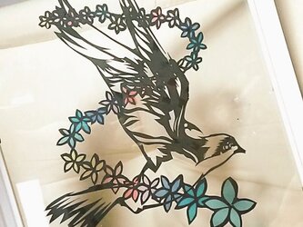 小鳥の画像