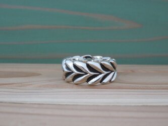 Leaf round 肉厚の葉っぱモチーフのリングの画像