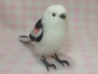 羊毛フェルト ほぼライフサイズ♪ シマエナガ　野鳥シリーズ  羊毛フェルト　受注作成　羊毛フィギュア　羊毛インコ　工房小鳥屋さんの画像