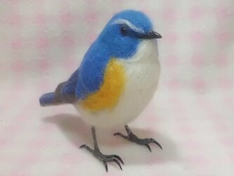 羊毛フェルト リアルサイズ♪  ルリビタキ 瑠璃鶲 Red-flanked bluetail  野鳥の画像