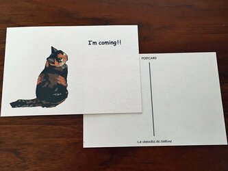 今行きま～す猫＊2枚組の画像