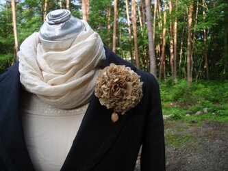 silk rose 　の画像