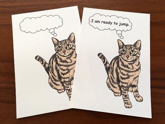 ジャンプ直前猫＊2枚組の画像