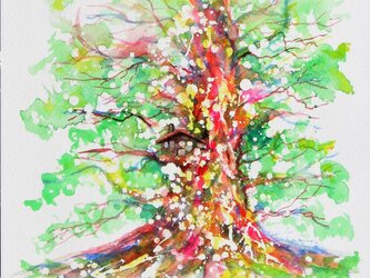 千年樹(楽しき我が家)の画像
