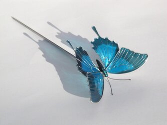 蝶のかんざし　オオルリアゲハの画像
