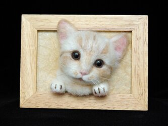 【癒し子猫　大きめフレーム　1　】の画像