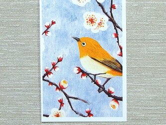 「梅とメジロ・その二」（お好きなﾎﾟｽﾄｶｰﾄﾞ2枚）の画像