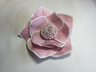 白い縁取りピンクの薔薇の画像