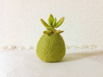 苔玉風　羊毛フェルトの一輪挿し（大）の画像