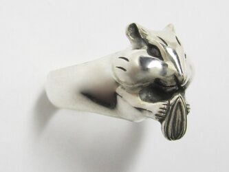 栗鼠（リス）RINGの画像