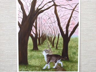 A4サイズ複製　「桜舞う道に猫」の画像