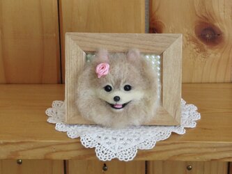 ポメラニアン　犬　フレーム　の画像