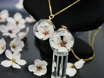 Flower glass Ball Pendant ～桜～の画像