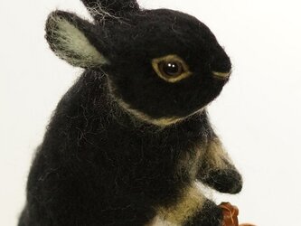 おでかけウサギ　黒の画像