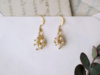 淡水パールピアス（クラスター）の画像