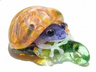 Frog in the Shell ペンダント トップ【 kengtaro / ケンタロー 】 カエル ボロシリケイトガラスの画像