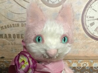 ハチワレ猫（ピンク）の画像