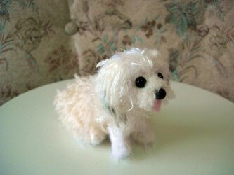 オーダーメイド犬あみぐるみ（毛糸のぬいぐるみ）の画像