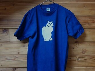 縦猫の藍染Tシャツの画像