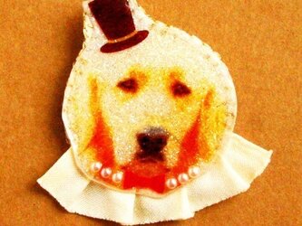 レトリバー伯爵のブローチの画像