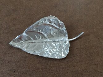 Silver leaf pinの画像
