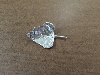 小さなsilver leaf pinの画像