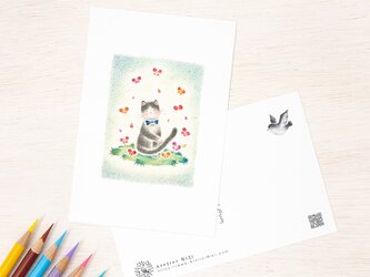 5枚セット。絵本のような。ポストカード "猫の子モコのかた想い" PC-143の画像