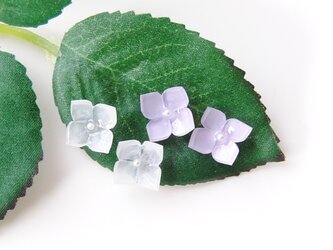雨の日の紫陽花のミニピアスの画像