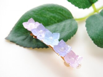 雨の日の紫陽花ミニバレッタの画像