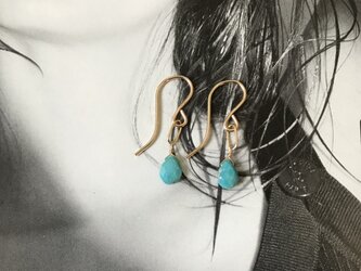 Sleeping Beauty Turquoise Pierceの画像
