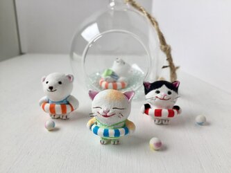 泳ぎに行こうよ！猫さん（茶トラ×白）の画像