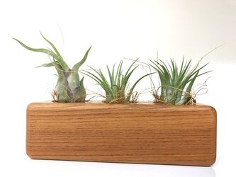 多肉植物やフラワーベースに♪　ウッドフラワーベース けやき　3の画像