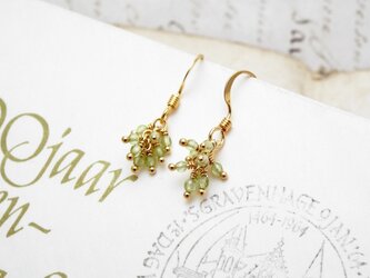 ペリドットピアス（クラスター）の画像