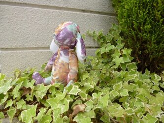 花うさぎの画像