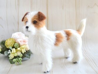 羊毛フェルト　ジャックラッセルテリアの画像