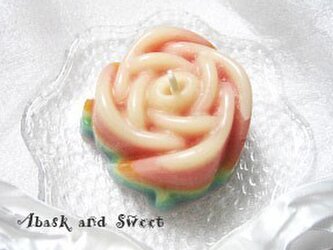 rainbow roseの画像