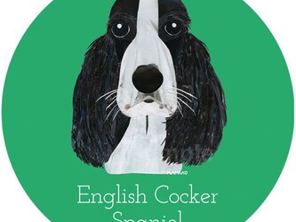 イングリッシュ・コッカー・スパニエル（白黒）《犬種名ステッカー/小型犬》の画像