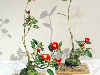 クレイの花.紅椿2鉢の画像