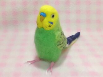 リアルサイズ♪ セキセイインコ 牧場色グリーンオパ－リン 羊毛フェルト ☆選べる鼻の色　受注作成　羊毛インコ　ライフサイズの画像