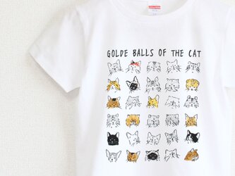 猫の尻Ｔシャツ　レディースタイプの画像